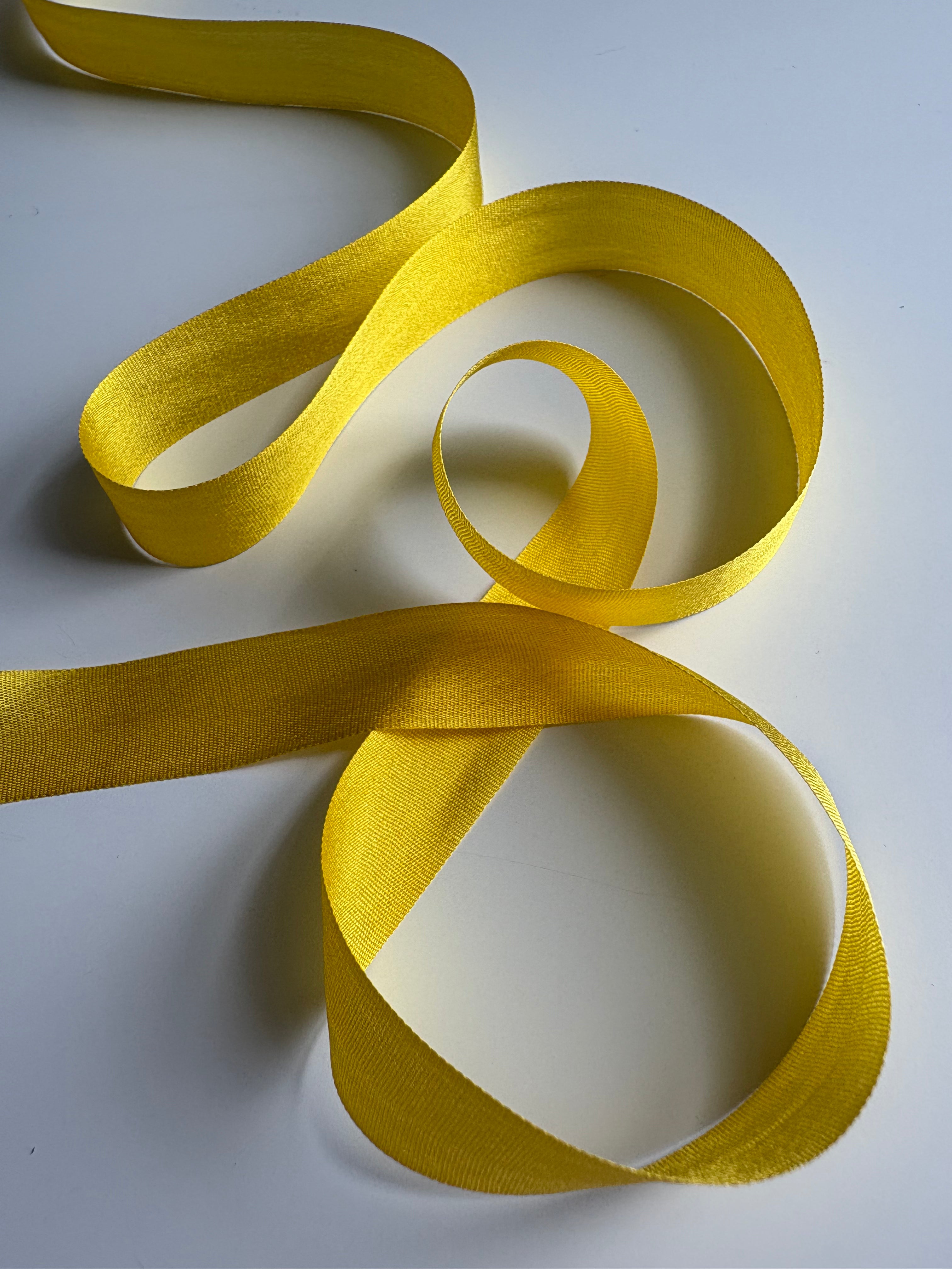 Silk Ribbon ̣13mm